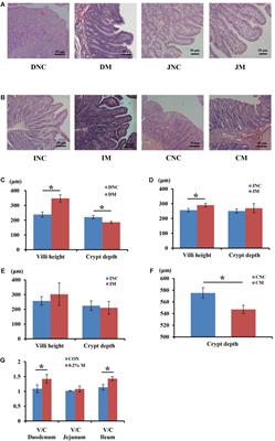 Dietary Montmorillonite Improves the Intestinal Mucosal Barrier and Optimizes the Intestinal Microbial Community of Weaned Piglets